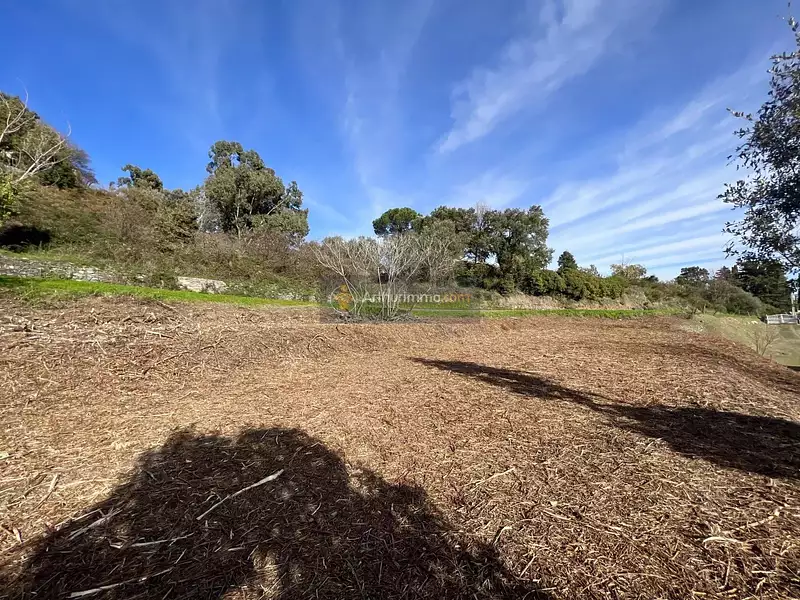 Terrain, 1 310 m²