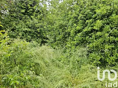 Terrain, 2 331 m²