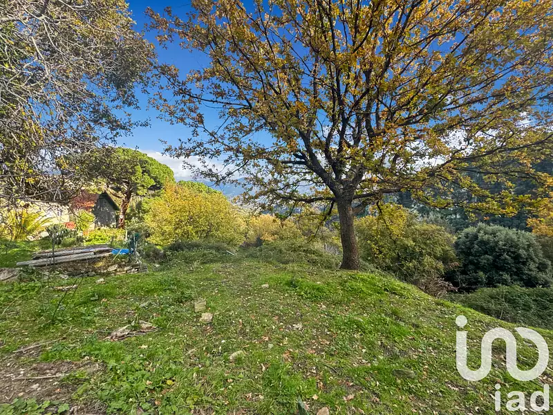 Terrain, 842 m²