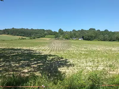 Terrain