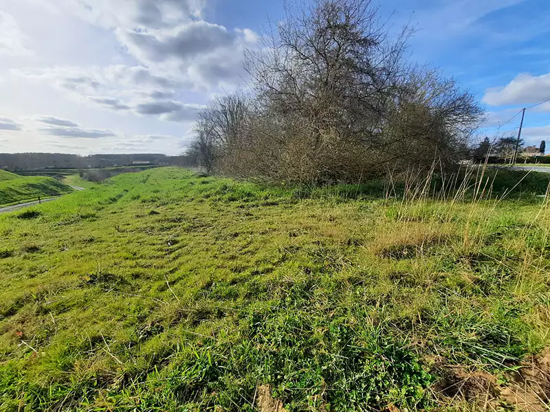 Terrain, 2 649 m²