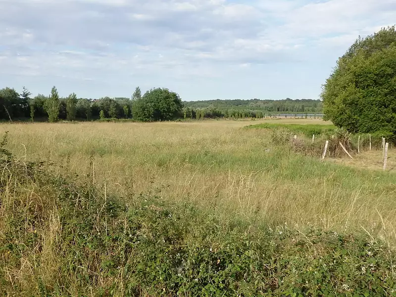 Terrain, 34 231 m²