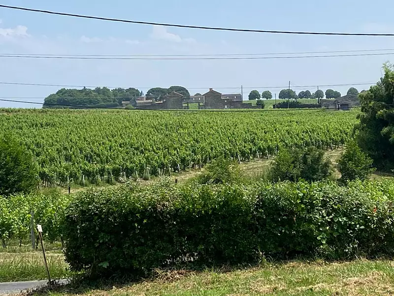 Maison, 155 m²