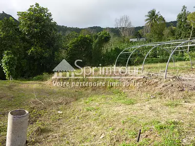 Terrain, 1 200 m²