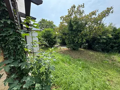 Maison, 250 m²