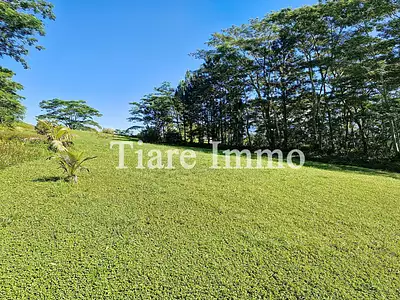 Terrain, 800 m²