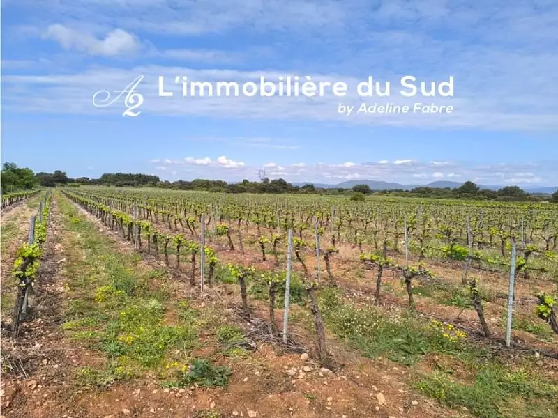 Terrain, 290 000 m²