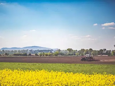 Terrain, 102 500 m²