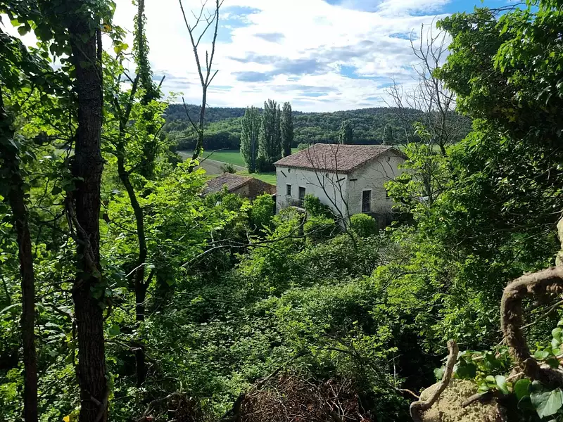 Terrain, 1 460 m²