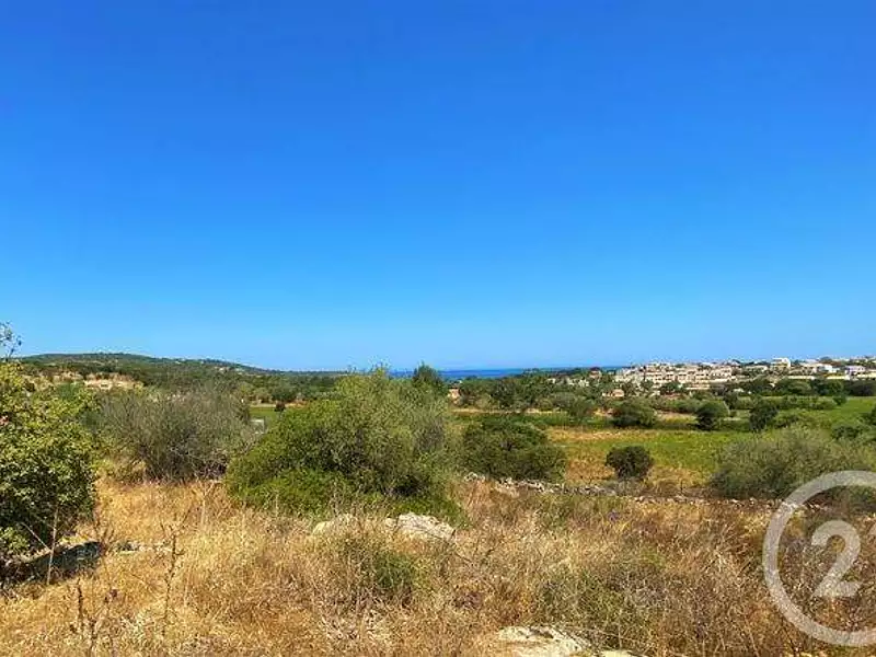 Terrain