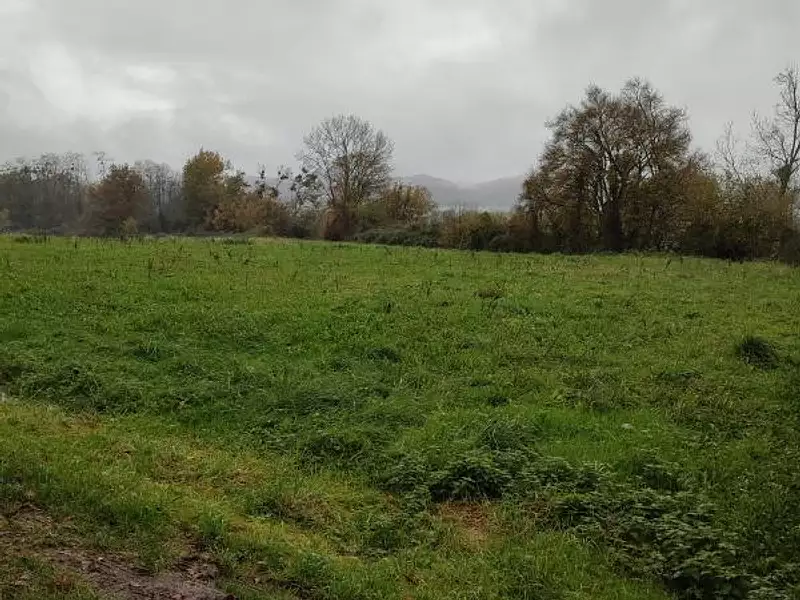 Terrain, 1 210 m²