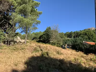 Terrain, 201 m²