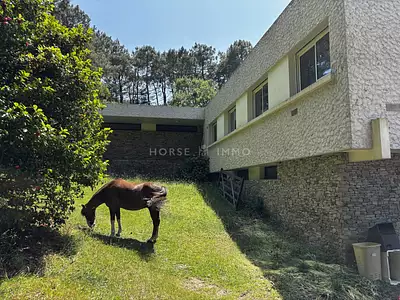 Maison, 230,8 m²