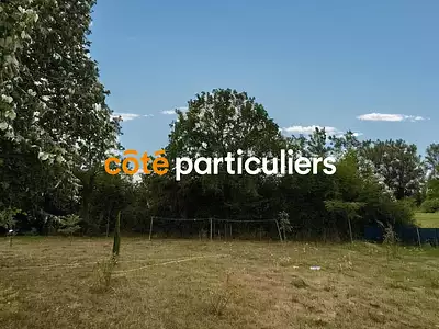 Terrain