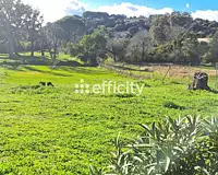 Terrain, 4 023 m²