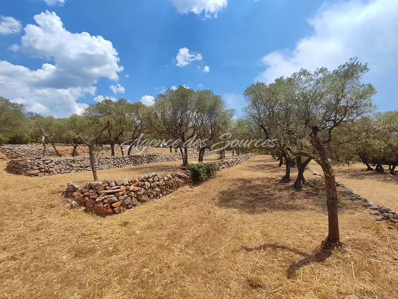 Terrain, 4 768 m²