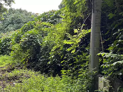 Terrain, 8 600 m²