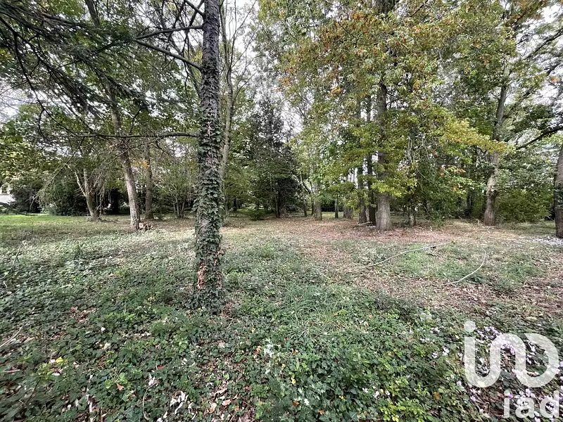Terrain, 1 181 m²