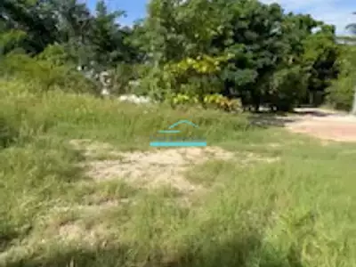 Terrain, 1 288 m²