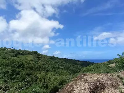 Maison, 290 m²