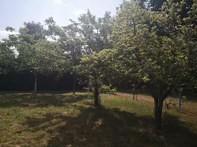 Terrain, 1 351 m²