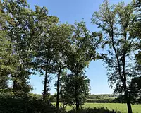 Terrain, 1 400 000 m²