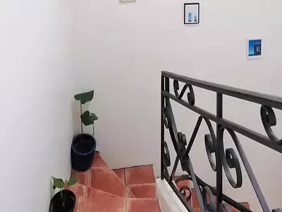 Maison, 210 m²