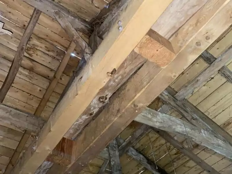 Maison, 74 m²