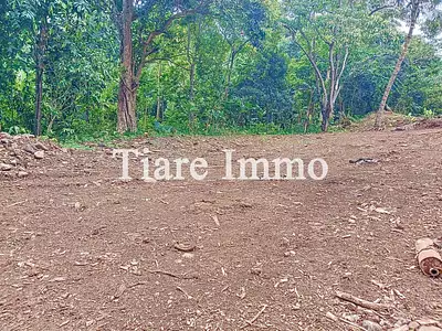 Terrain, 1 136 m²