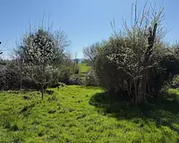 Maison, 175 m²