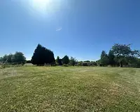 Terrain
