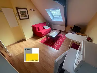 Appartement, 20,47 m²