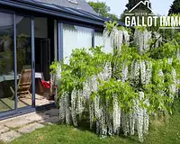 Maison, 159 m²