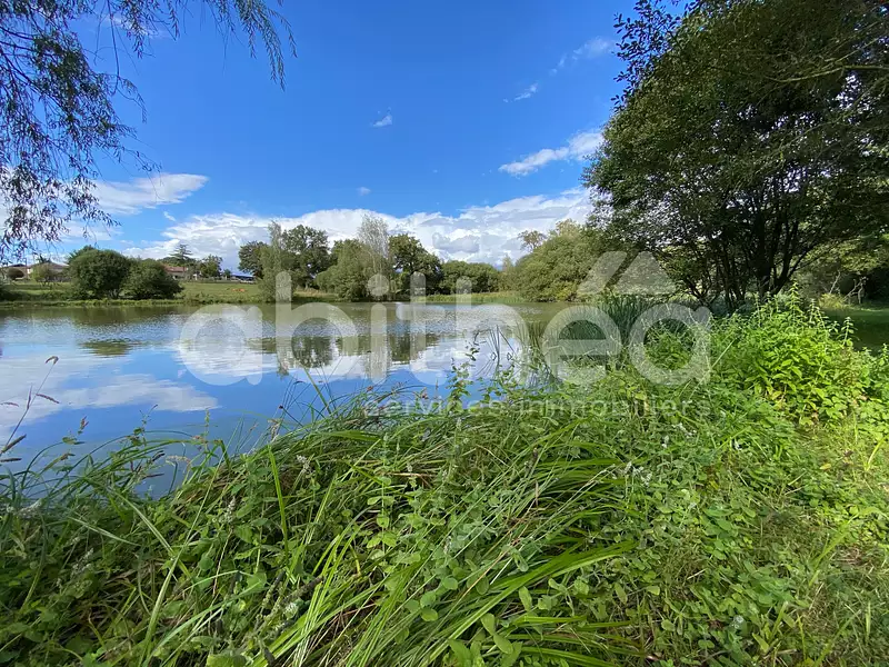 Terrain, 25 228 m²