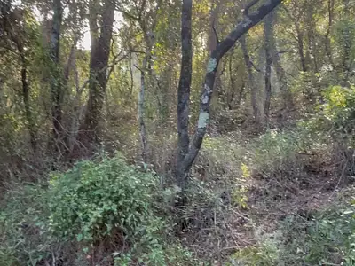 Terrain, 10 302 m²