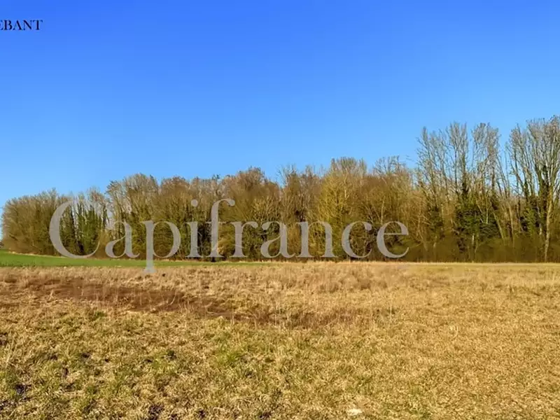 Terrain, 1 479 m²