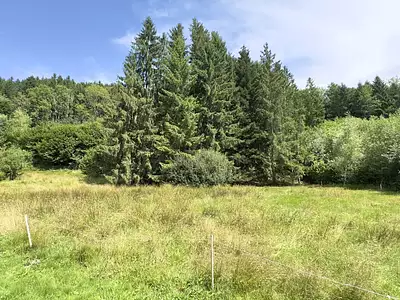 Maison, 34,3 m²