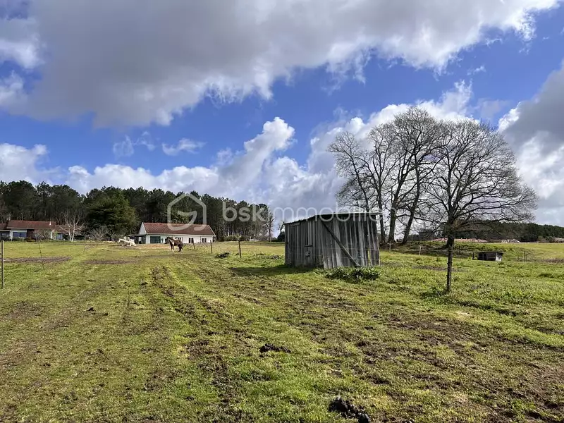 Maison, 140 m²