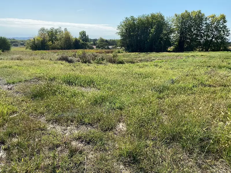Terrain, 4 007 m²
