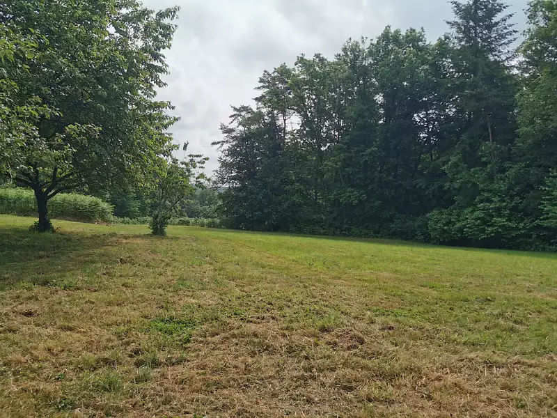 Terrain, 2 355 m²
