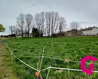 Terrain, 1 443 m²