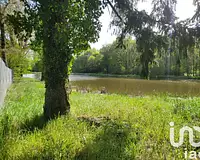 Terrain, 50 000 m²