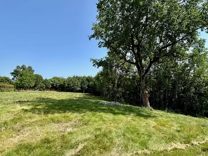 Terrain, 677 m²