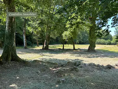 Maison, 240 m²
