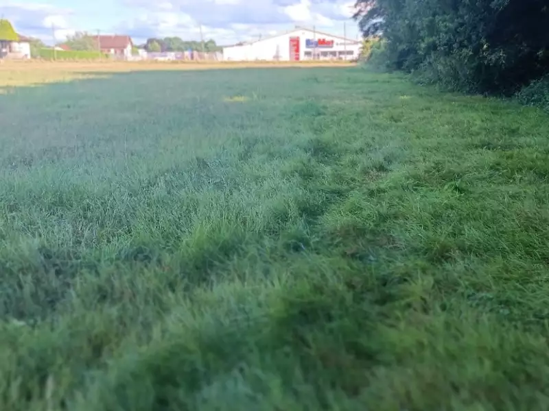Terrain, 6 704 m²