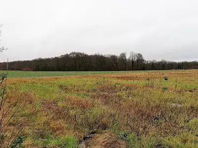 Terrain, 1 300 m²