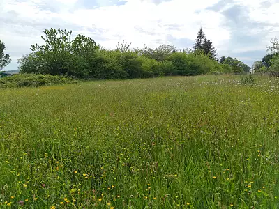 Terrain, 1 980 m²