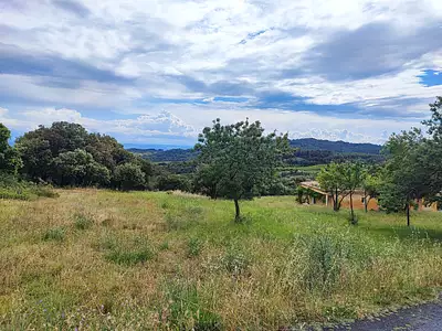 Terrain, 1 013 m²