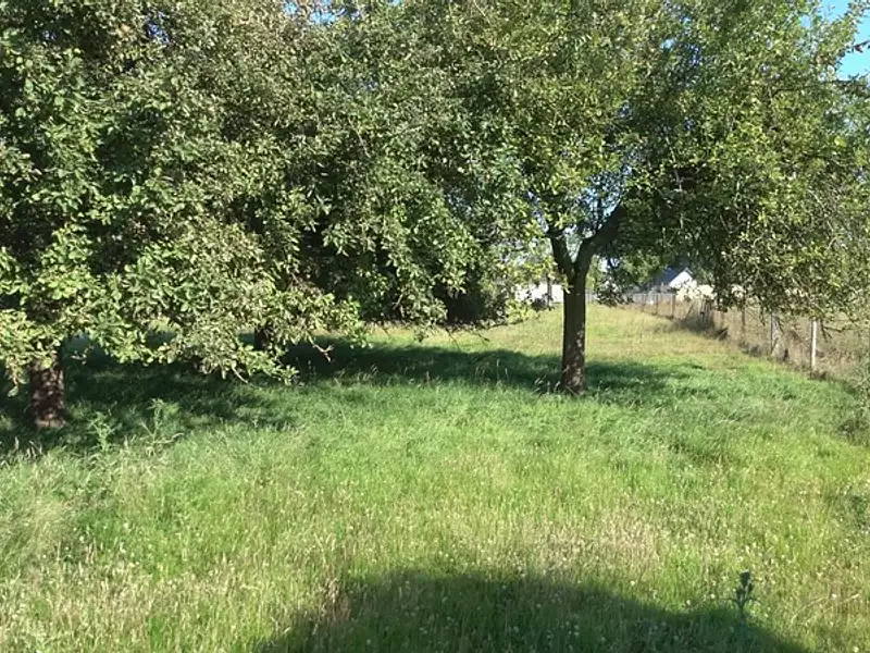 Terrain, 572 m²