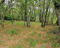 Terrain, 587 m²